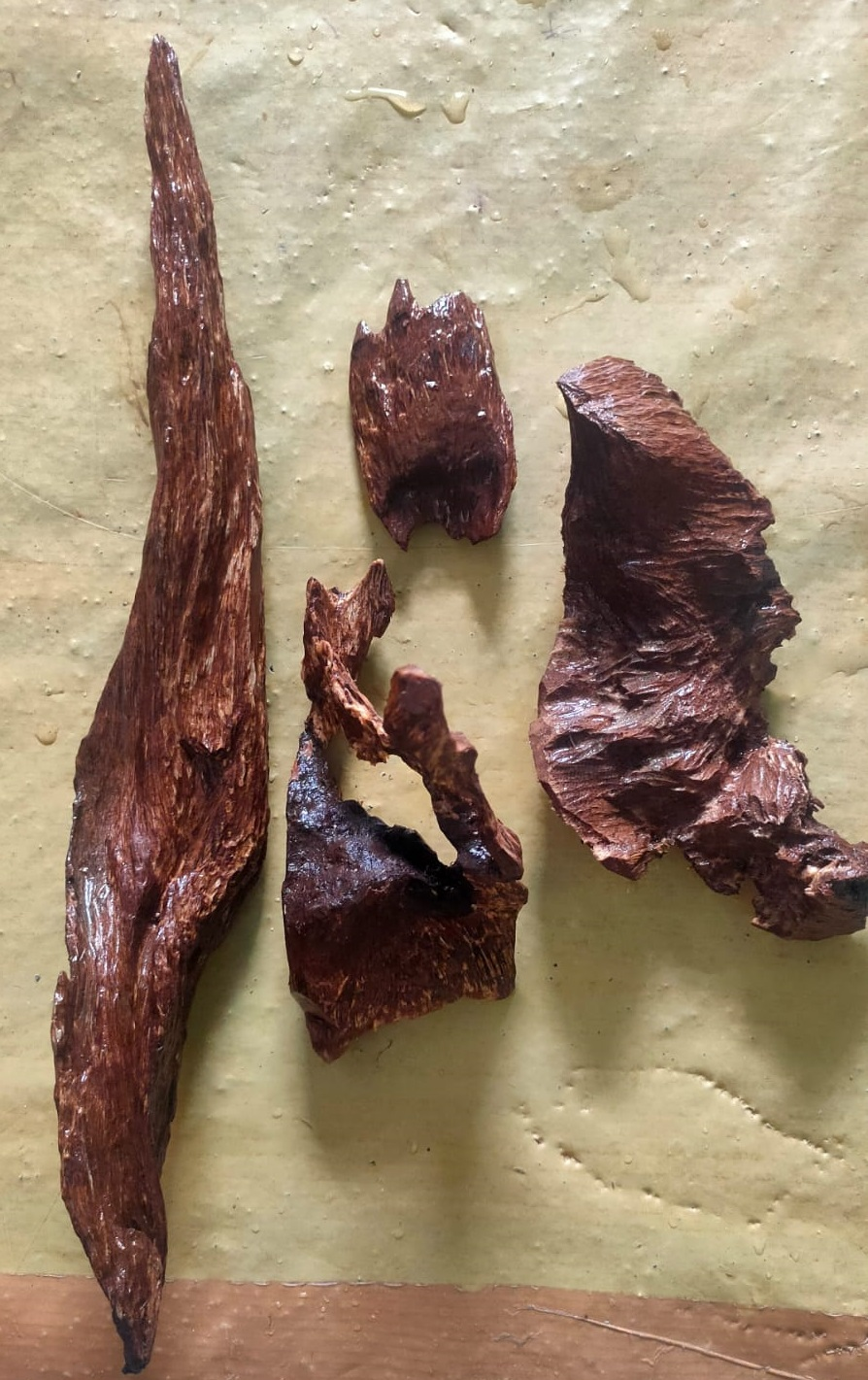 Kayu Gaharu
